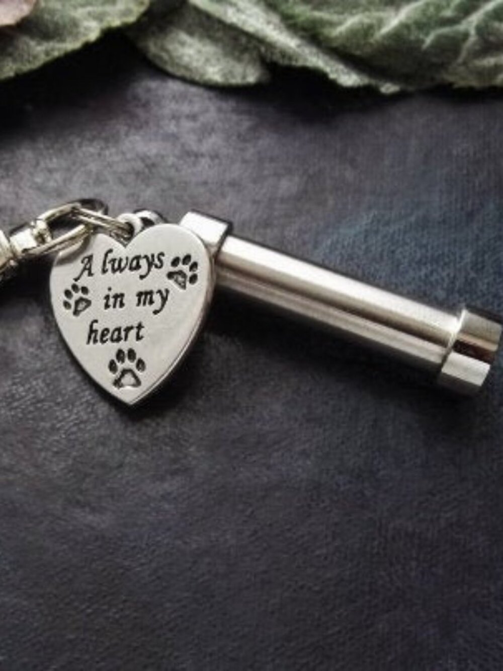 Pet Loss Memorial Urn Keychain Stainless Steel Ashes Cremation Keepsake Capsule
